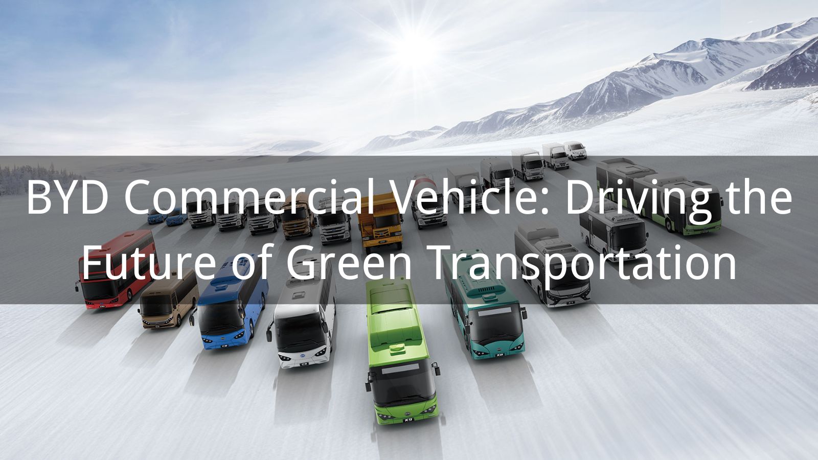 BYD Commercial Vehicle: Driving the Future of Green Transportation